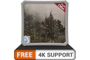 forêt brumeuse pluvieuse gratuite HD - ressentez la vue pluvieuse romantique sur votre téléviseur HDR 4K, votre téléviseur 8K
