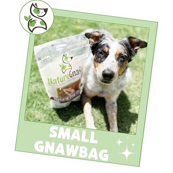 NATURE GNAWS VARIETY PACK FOR SMALL DOGS (12 COUNT) – BULLY STICKS, BEEF TENDONS AND TRIPE TWISTS FOR DOGS – NATURAL LONG LASTING BEEF DOG CHEW BONES – RAWHIDE FREE