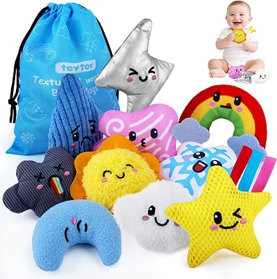 teytoy Sensory Bean Bag Toys 10 Texture Fidget Weather Theme Set