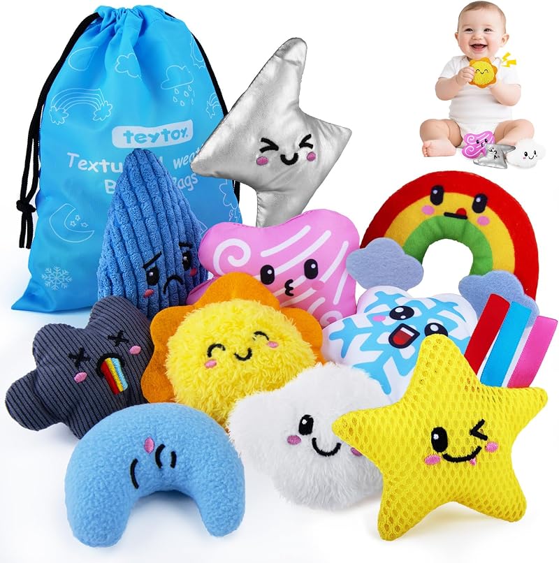 teytoy Sensory Bean Bag Toys 10 Texture Fidget Weather Theme Set