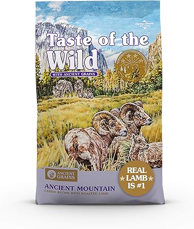 sierra mountain canine