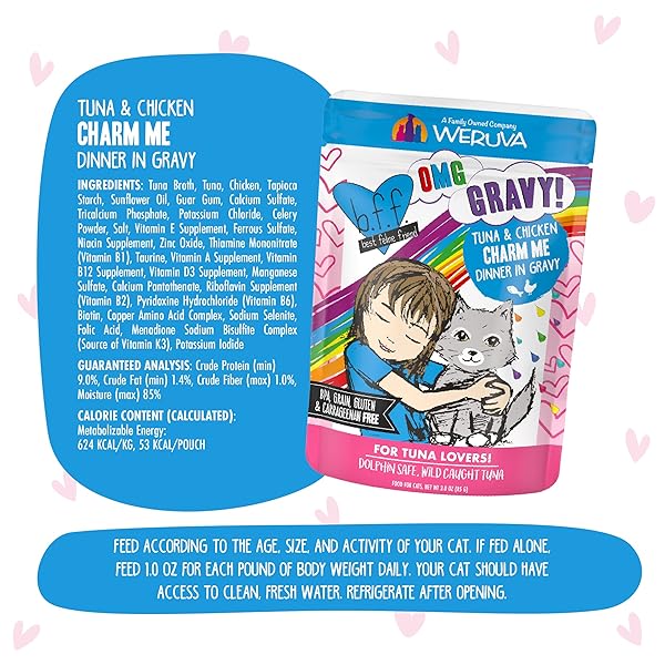 WERUVA B.F.F. OMG – BEST FELINE FRIEND OH MY GRAVY! TUNA & CHICKEN CHARM ME WITH TUNA & CHICKEN IN GRAVY CAT FOOD, 3OZ POUCH (PACK OF 12)