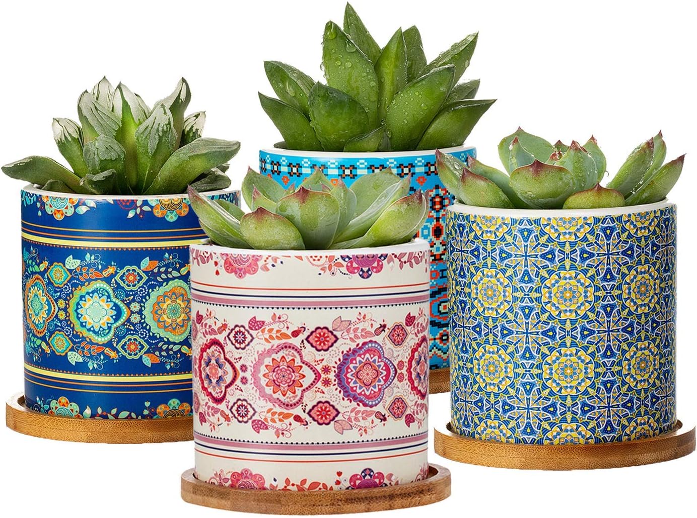Bloompot Succulent Plant Pots,3.2 Inch Cylinder Mandalas Style Ceramic Planter for Cactus,Succulent Planting, with Drainage Hole, Bamboo Trays, Set of 4, Mandala&Bohemia Four Styles