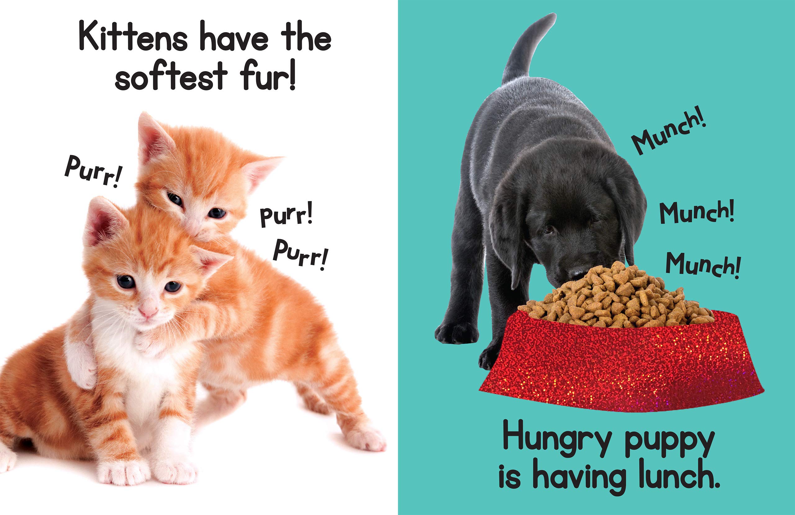 Puppies & Kitties - Touch and Feel Board Book - Sensory Board Book Puppies & Kitties - Touch and Feel Board Book - Sensory Board Book Board book