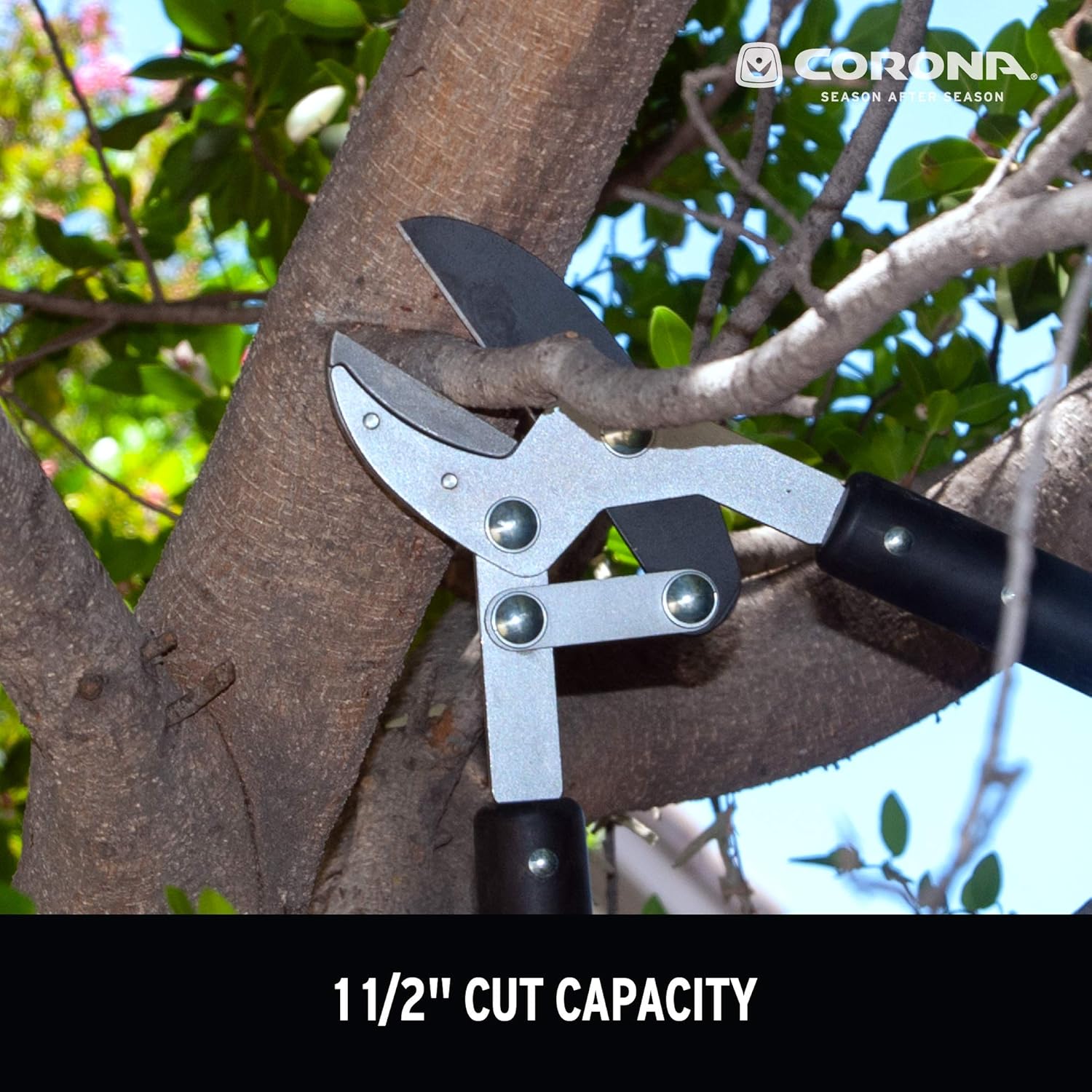 Corona Compound Action Anvil Lopper, 32 Inch, FL 3420, Black : Hand Loppers : Garden & Outdoor
