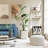 15 Inch Self-Watering Planter for Indoor Plants &ndash; Large Modern Plant Pot with Built-In Water Reservoir, Ideal for Monstera, Fiddle Leaf Fig, Palms &amp; Peace Lily, Without Trellis (1, Cream White)
