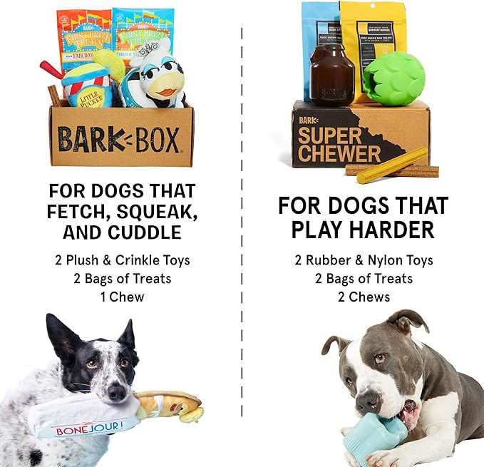 monthly dog box for chewers