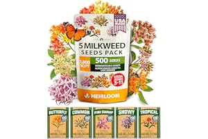 HOME GROWN Milkweed Flower Seeds - 500+ Heirloom Perennial Wildflower Seeds (5 Individual Varieties) Supports Monarch Habitat, Grows in Zones 310 (Asclepias syriaca)