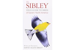 The Sibley Field Guide to Birds of Eastern North America