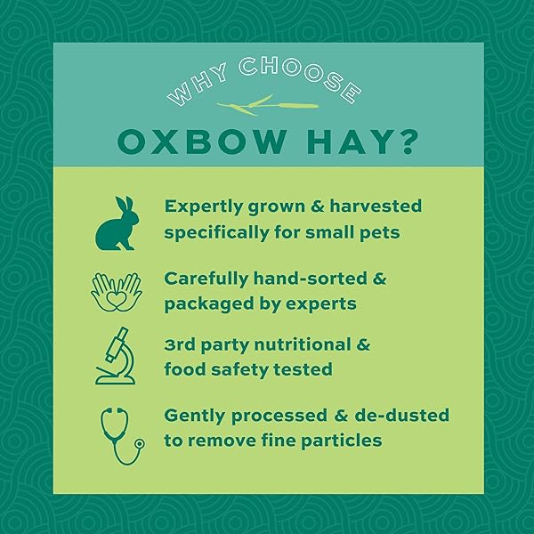 OXBOW ANIMAL HEALTH WESTERN TIMOTHY HAY, BUNNY FOOD, ALL NATURAL HAY FOR RABBITS, GUINEA PIG, CHINCHILLAS, HAMSTERS & GERBILS, RABBIT TREATS, VETERINARIAN RECOMMENDED, 15 OZ.