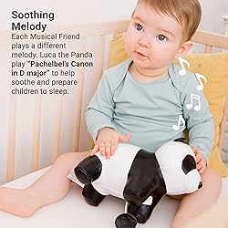 Little Big Friends Musical Friends | Pull String