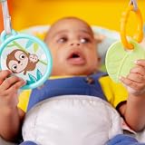 Bright Starts Safari Fun Vibrating Bouncer with Toy Bar view 3