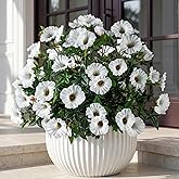 Uqueeten Artificial Plants Outdoor Morning Glory Artificial Flowers Plastic Flowers for Decoration,UV Resistant Look Real Fake Flowers Faux Outdoor Plants Front Door Decor 13.3In (4PCS,White)