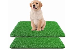 Artificial Grass Indoor Outdoor, 2 Pack Professional Grass Pee Pads for Dogs with Drainage Holes, Artificial Turf for Patio L