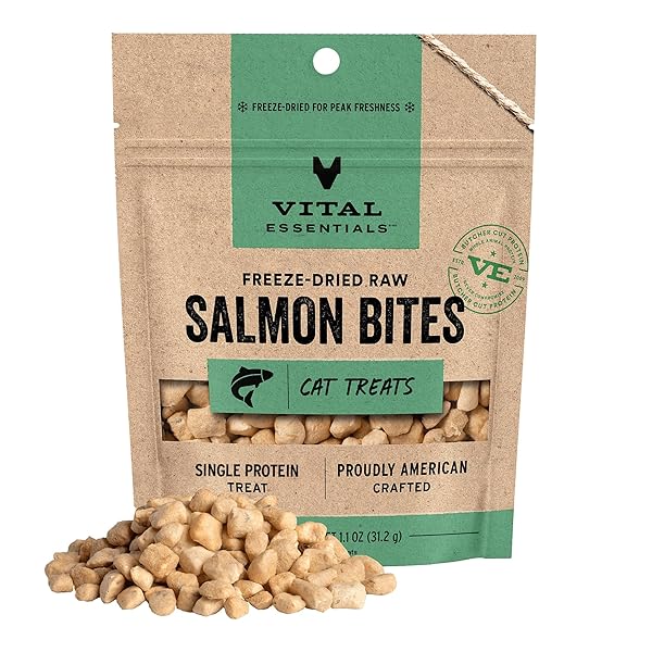 VITAL ESSENTIALS FREEZE DRIED CAT TREATS | SALMON...