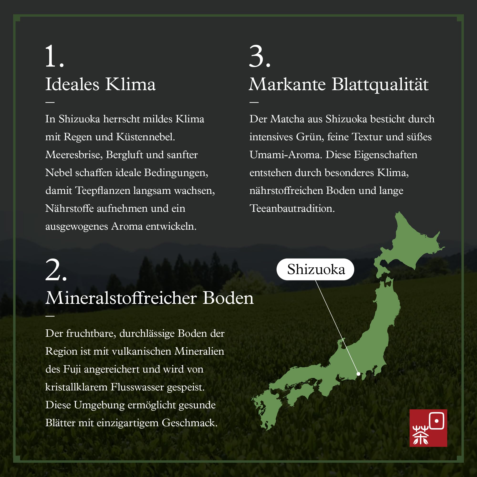 Ocha & Co. Itsumo Matcha – Klassische Qualität – 100g – Japanischer Matcha der ersten Ernte – Traditionell steingemahlen 4
