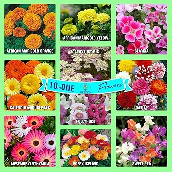 Gate Garden Collection of Sow 10 Flower Seeds Varieties