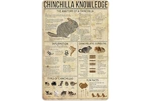 NEGLAI CHINCHILLA Knowledge Metal Signs Poster, Vintage Wall Decor Farmhouse Decorations 16x12 Inches
