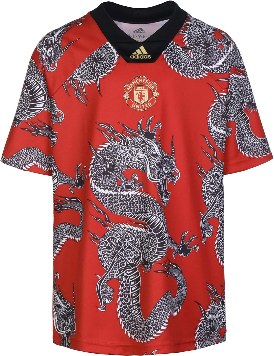 manchester united dragon kit
