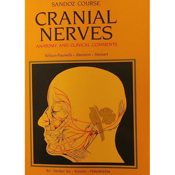 Amazon.com: Applied Anatomy and Physiology for Speech-Language