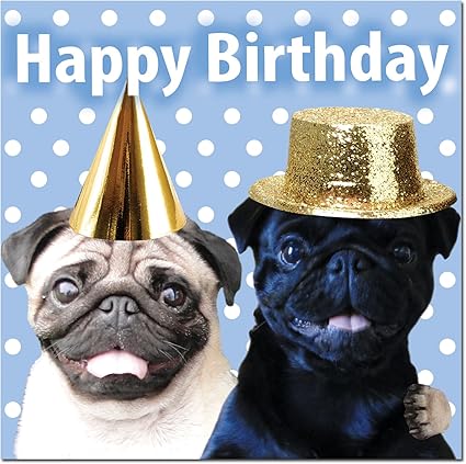 Fun Pugs Carlin Anniversaire Noel Anniversaire Saint Valentin Carte Carte De Vœux Happy Birthday Amazon Fr Fournitures De Bureau