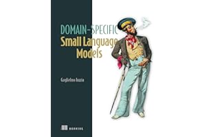 Domain-Specific Small Language Models: Efficient AI for local deployment