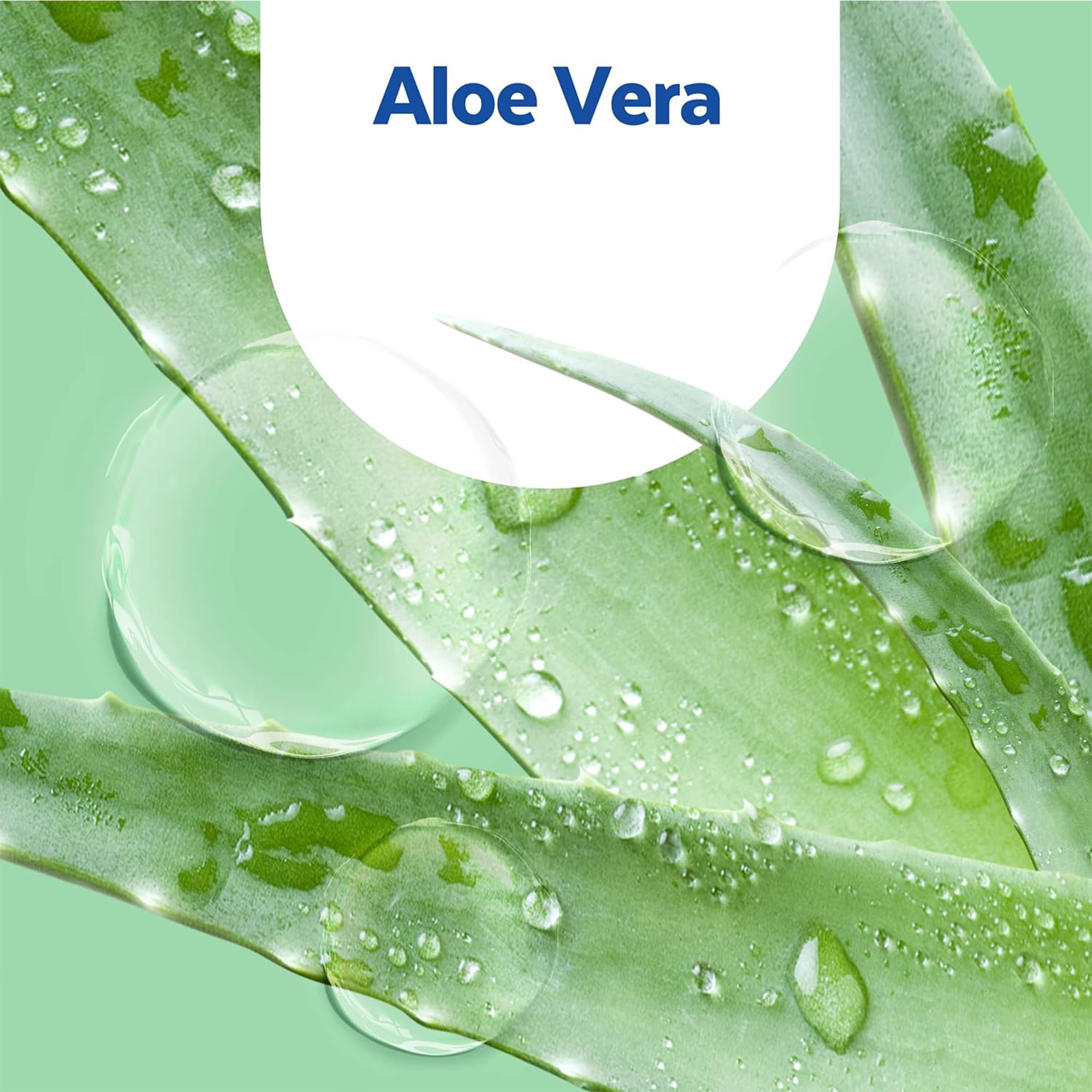 Sagrotan Handseife Aloe Vera – Feuchtigkeitsspendend und stark gegen Bakterien – 1 x 250 ml Handseife 4