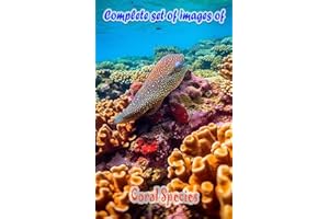 Coral Chronicles: The Visual Story of Reef Life: Explore the Entire Narrative of Coral Species, From Birth to Full Bloom