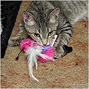 kong active feather teaser cat toy