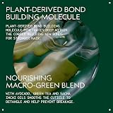 Aveda Botanical Repair Bond-Building Styling Creme 150ml Silicone Free view 3