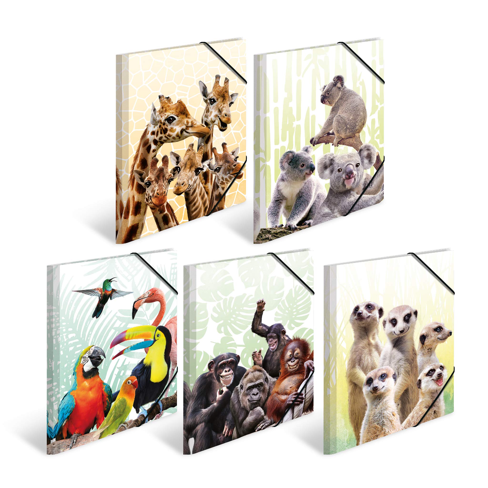 HERMA 19956 Portfolio Folder DIN A4 Exotic Animals Set of 10 Sturdy Plastic Organiser Folder with Printed Inner Flaps and Elastic Band, Document Folder for Children, Boys and Girls