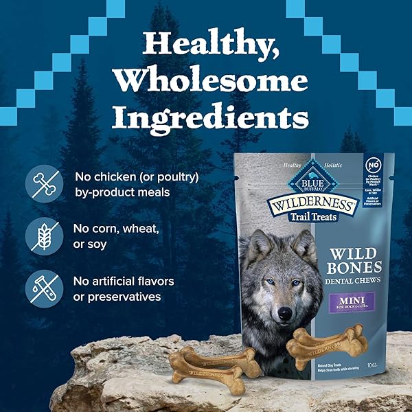 BLUE BUFFALO WILDERNESS WILD BONES GRAIN-FREE DENTAL CHEWS DOG TREATS, MINI, 10-OZ BAG
