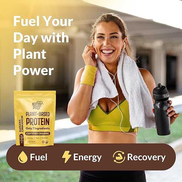 NUTRAPULSE BANANA CINNAMON VEGAN PROTEIN POWDER – 20G PLANT-BASED PROTEIN – ORGANIC, NON-GMO, GLUTEN-FREE, SOY-FREE – IDEAL FOR SMOOTHIES, SHAKES, BAKING – 1 PACK (20 SERVINGS)