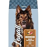 81hTtqrNFqL. AC UL160 SR160,160