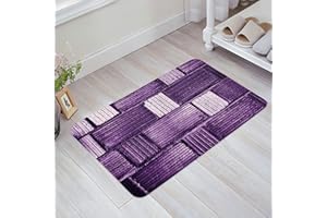 Indoor Door Mat Non-Slip Entrance Front Doormat Rugs, Waterproof Absorb Sponge Bathroom/Kitchen Mat Carpet Shoes Scraper (Pur
