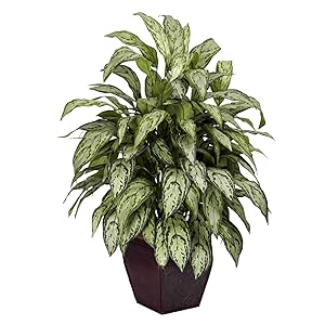Nearly Natural 6693 Silver Queen with Planter Decorative Silk Plant, Green