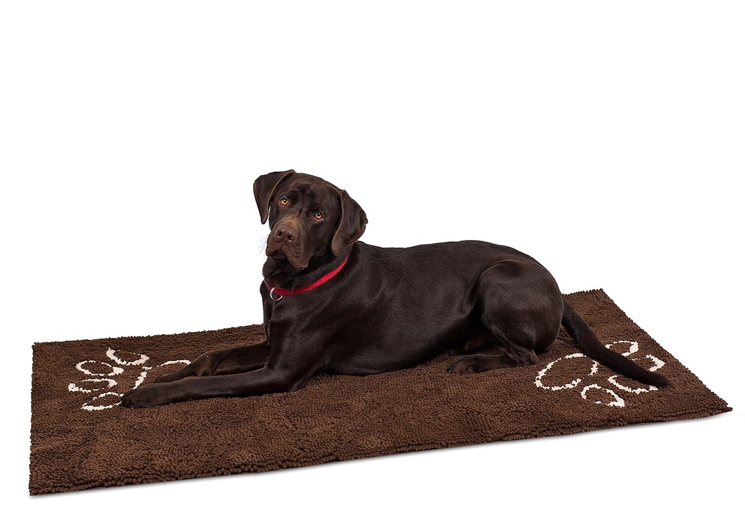 Amazoncom Internets Best Chenille Dog Doormat 60 X 30