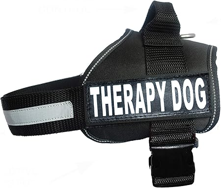 purchase service dog vest