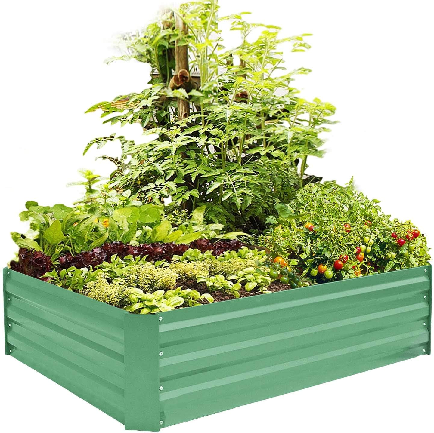 Best Garden Bed Kit 3X6