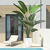Roselywed Artificial Bird of Paradise Tree 8FT with 21 Leaves Realistic Thick Banana Leaf Tall Large Faux Tropical Plant 94 Inch Black Pot for Indoor Home Office Poolside Porch Mall Hotel School Decor