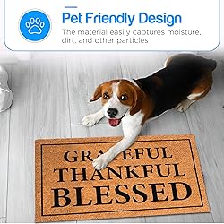 PLUS Haven Coconut Coir Home Entrance Door Mat
