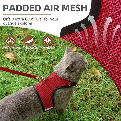 PUPTECK Soft Mesh Cat Vest Harness and Leash Set Puppy Padded Pet