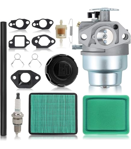 Honda OEM 16100-Z9L-811 Carburetor (Bb76J A), Carburetors - Amazon