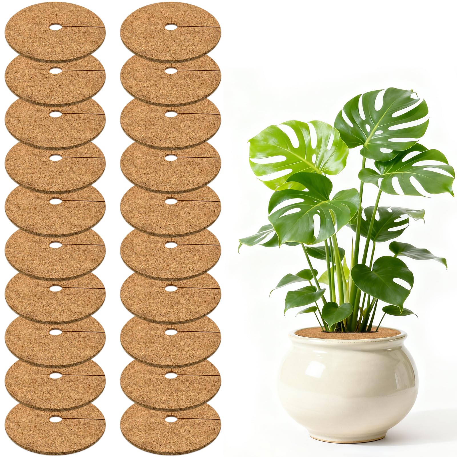 ZeeDix 20 Pack Coconut Fiber Mulch Ring, 11.8 Inch Coco Coir Tree Ring ...