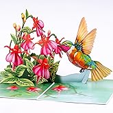 POPWOW Humming Bird Pop Up Card, Fuchsia, 3D Popup Greeting Cards, Gift For Birthday, Mothers Day, Anniversary, Valentines, Thinking Of You, Thank You, 5x7 - Includes Envelope And Message Note