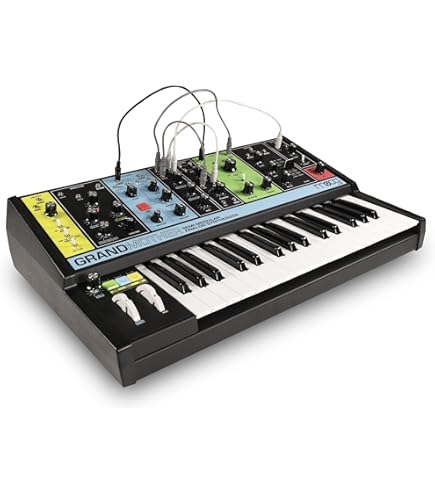 Amazon.com: ANALOG CASES Moog Grandmother Case - Ultra-Lightweight