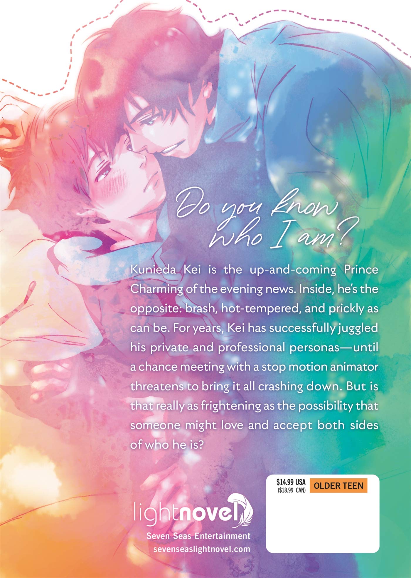 Yes No Or Maybe Light Novel Ichiho Michi Takemiya Lala Amazon Com Books