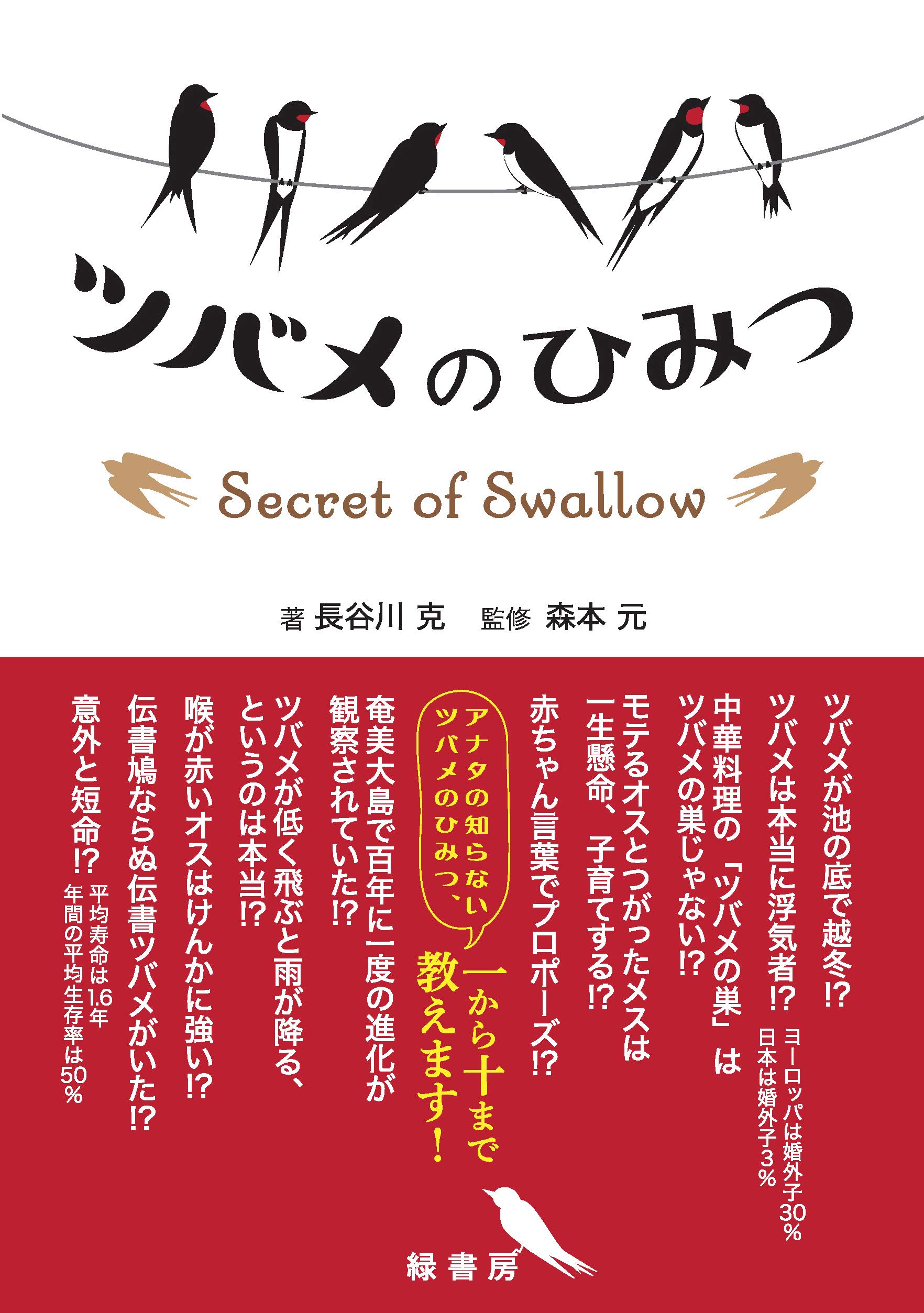 ツバメのひみつ Amazon Com Books
