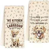 InnoBeta Labrador Gifts for Women, Kitchen Towel Set, 16x24 in Microfiber Dish Tea Towel, Labrador Hand Towel Gifts for Labrador Owners, 2 Pack