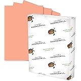 Hammermill Colored Paper, 24 lb Salmon Printer Paper, 8.5 x 11-1 Ream (500 Sheets) - Made in the USA, Pastel Paper, 103120R